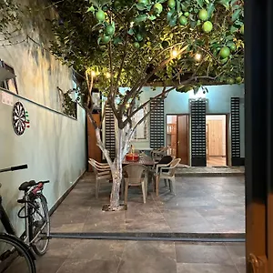  Auberge de jeunesse Lemon Breeze Albanie